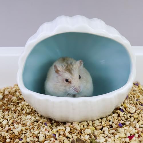 WishLotus Ceramic Hamster Hideout, Adorable Sea Shell Shaped Hamster House, Large-Opening Small Animal Hideout, Small Animal Hideout Habitat Decor for Dwarf Hamsters Gerbils Chinchilla (Blue L) - color: Blue L