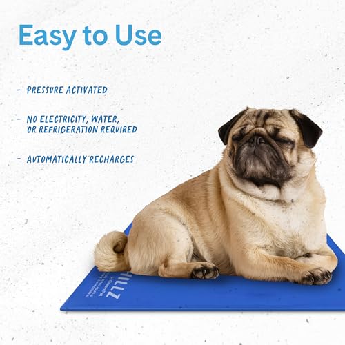The Green Pet Shop Chillz Gel Mat, Medium - Pressure-Activated Cooling Pad for Pets 0-25 lbs - Non-Toxic, No Water or Refrigeration Needed - Ideal for Home, Travel & Crates - size: M