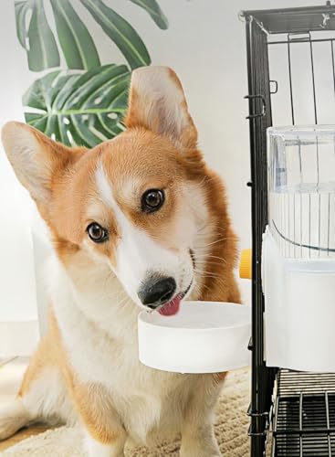 Hanging Pet Feeder Waterer - Rabbit Cage Gravity Bowl 2-in-1 | Leakproof hanging dispenser for rabbit cage. Easy gravity feed, no spill, no electricity. Food-grade BPA-free, easy clean.