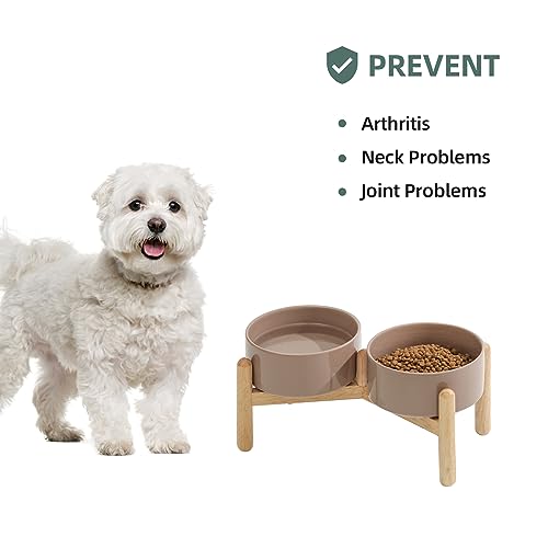 Havniva Elevated Dog Bowls Ceramic Dog Bowls with Stand, Dog Food Bowl | 6.1” Raised Dog Bowls with Non-Slip Wood Stand, Dog Food and Water Bowl Set, Double Dog Feeding Bowls for Small & Medium Dogs - color: 2 Bowls+Stand - Brown Coffee, size: 6.1inch