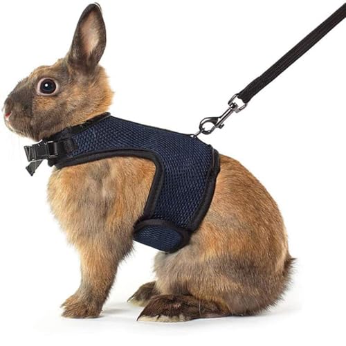 Rabbit Leash and Harness Escape Proof Bunny Harnesses Mesh Vest Black M | Soft Adjustable Buckle for Ferret Guinea Pig Hamster Squirrel Rat Walking Small Animal Pets - color: Black, size: M (Neck:5.5"-7" Chest:6.2"-8.5")