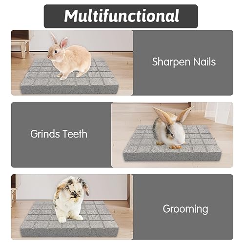 Hamiledyi Rabbit Scratch Foot Pads - 4 PCS Natural Small Animal Lava Stone Teeth Grinding & Scratching Pad for Rabbit, Guinea Pig, Rat, Gerbil, Chinchilla, Hedgehog - color: White-4PCS