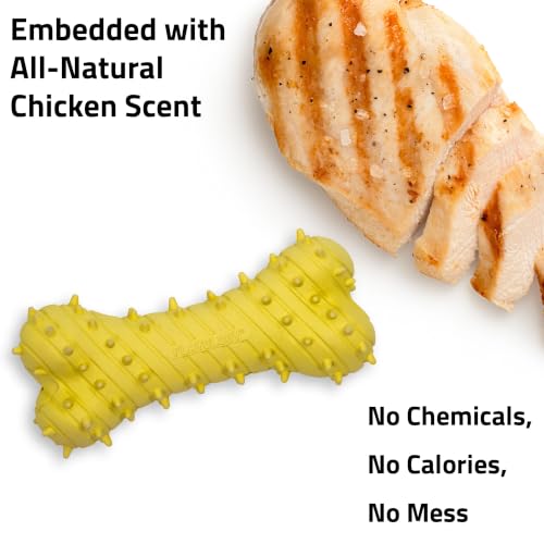 Playology Puppy Teething Bone Dog Chew Toy - Jumbo, Chicken Scent | Great For Puppies and Young Dogs, Teeting Nubs Soothe Gums, Durable Rubber, Large Breed - size: Jumbo, style: Chicken