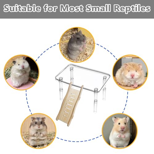 Hamster Platform Acrylic Small Animal Play Activity Resting Stand Climbing Cage Toy with Ladder for Dwarf Syrian Hamsters Gerbils Mice Sugar Glider - color: Transparent(1PCS)