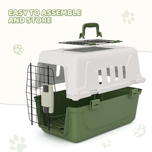 Magshion 18 Inch Hard-Sided Dog Cat Carrier, Green | Top and Front Door Access, Plastic Dog Kennel for Longer Traveling, Durable Handle and 4 Sides Ventilation, For Pet Up 20 lbs - size: 18.0"L x 10.5"W x 12.0"H