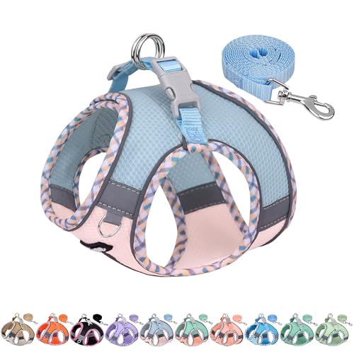 Tiny Dog Harness - Lightweight Mesh Step-in Vest for Puppy, Reflective & Escape-Proof Design with High-Stick Magic Tape - Indoor/Outdoor Use for Chihuahua, Maltese, Shih Tzu(Blue-Pink, XXXS) - color: Blue-Pink, size: XXXS(Chest: 8.5 - 10")