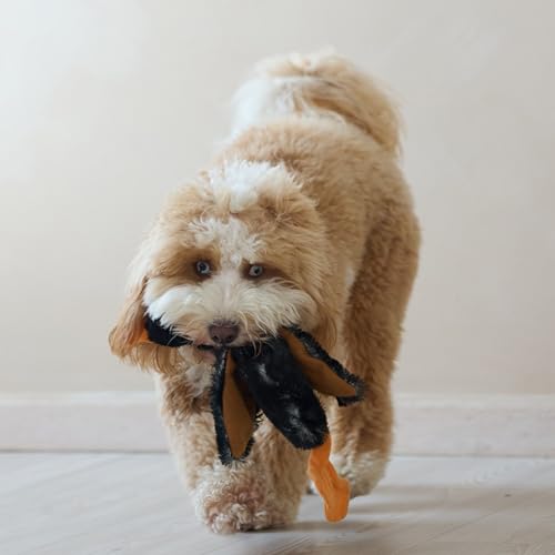 SPOT Skinneeez Mini Mallard Duck 13 Inch Stuffing-Free Plush Squeaky Dog Toy – Soft Interactive Toy for Small and Medium Dogs – Mess-Free Play for Light & Moderate Chewers – Assorted Styles - style: Mini Mallard Duck