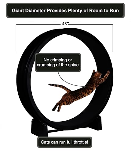 One Fast Cat - Cat Exercise Wheel - Made in the USA - 48" Diameter - Gen. 7 | Black with Black Felt Traction Pads and Light-Up LED Inline Wheels - color: Black Wheel / Black Felt / LED Inline