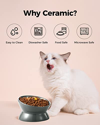 LoeJan Elevated Cat Food Bowl, 5 Oz Ceramic Raised and Tilted Water Bowl, Anti Vomiting and Protect Pets' Spines Dishes for Small Dog, Fat Faced Cat, Kitten (Gray, 1 Pack) - color: Gray