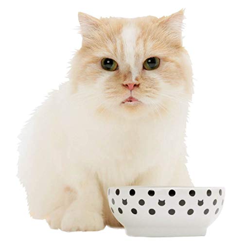 Necoichi Shallow Wide Ceramic Cat Food & Water Bowl (Dots Style, Basic Flat) - color: Dots