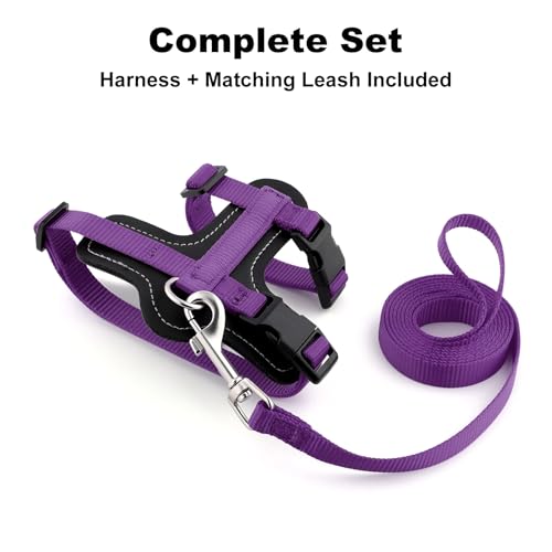 Plutus Pet Adjustable Cat Harness and Leash Set, with Leather Trim | Quick Release, Escape Proof Nylon Vest, for Kitten Small Medium Large Cats, Purple - color: Purple