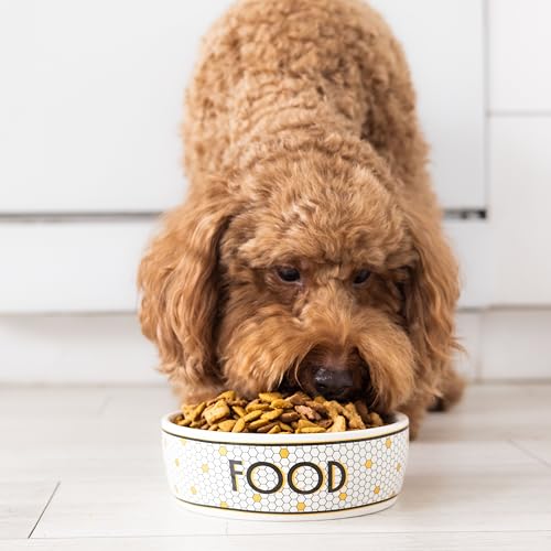 Pearhead Ceramic Dog Bowl, Small/Medium 2.25 Cups/ 18 oz, Bistro Tile | Honeycomb with Gold Accents Stoneware Pet Food & Water Bowl for Small Dogs, Weighted Non-Plastic Feeding Dish - color: Bistro Tile Bowl, size: Small
