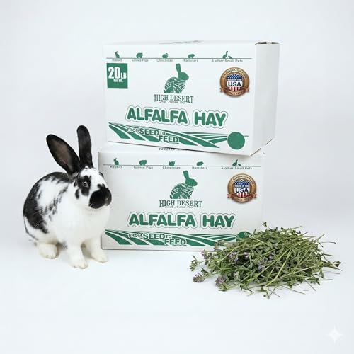 High Desert Alfalfa Hay, Protein Rich Soft Leaf Food for Young Growing Animals, Natural Rabbit Food and Guinea Pig Hay, Supports Digestive Health, Small Pet Supplies, Fresh Hand, Pack of 2, 10 Lb Box - size: 10 Pound (Pack of 2)