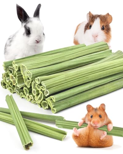 Bissap 35PCS Rabbit Chew Sticks, Natural Papaya Stems Bunny Chews Treats for Rabbit Hamster Chinchilla Guinea Pig Small Animals Organic Molar Chewing Snack - size: 35 PCS