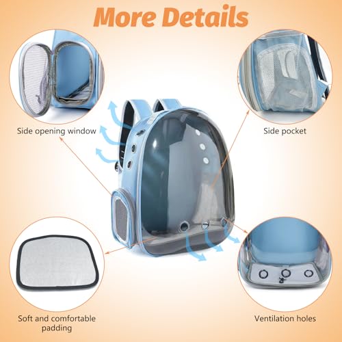 kathson Bearded Dragon Carrier with Harness and Leash Set, Large Reptile Travel Carrier Portable Lizard Backpack Clear Small Animals Carrying Bag for Gecko Hamster Rabbit Hedgehog Kitten (Blue) - color: Blue
