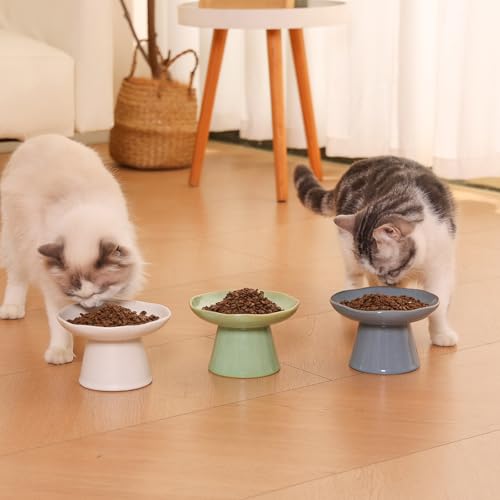 Extra Wide 6.1" Raised Cat Food Bowl, Shallow Ceramic Elevated Cat Feeder, Anti Vomiting, Stress Free, Whisker Fatigue, Pet Food or Water Bowl, White - color: White-Shallow