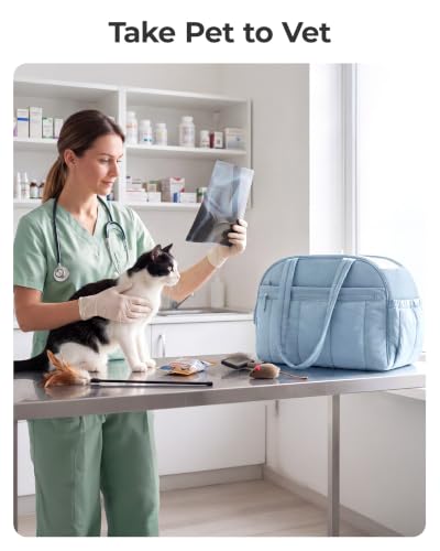 BAGSMART Dog Purse Carrier for Small Dogs Up to 13lbs Puppy Travel Tote Bag | Quilted Puffy Soft Sided Pet Handbag with Pockets, Collapsible Lightweight Portable Carrying with Safety Tether & Mat, Blue - color: Dawn Blue