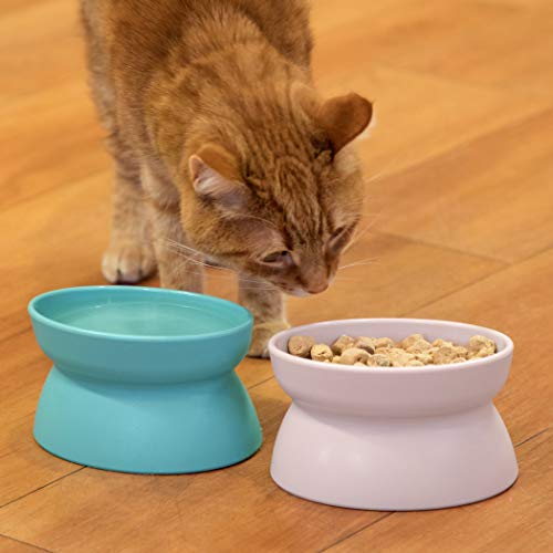 Kitty City Elevated Cat Bowls (Set of 2), Whisker-Friendly Raised Cat Food & Water Dishes, Modern Pedestal Design, Dishwasher Safe, 6.5 oz Each – Teal & Light Pink - color: Pastel, style: Small - Standard