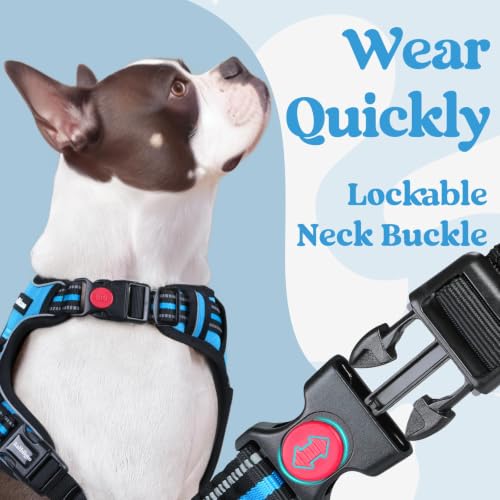 rabbitgoo Dog Harness Small Sized, Updated Easy On & Off with 3 Buckles | No Pull No Choke, Walking with 2 Clips and Handle, Adjustable Soft Reflective, Sky Blue, Small - color: Sky Blue, size: Small