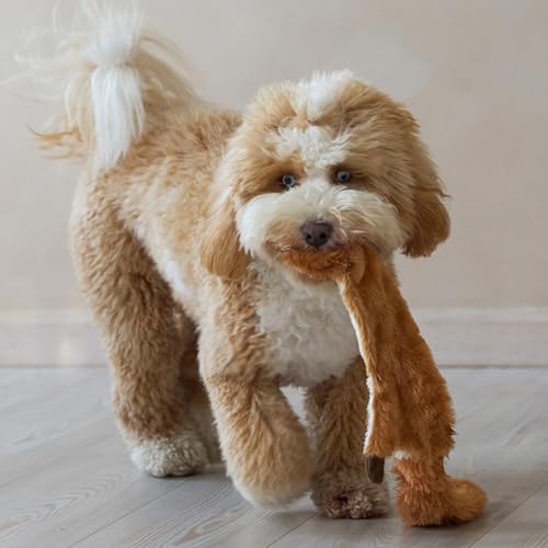 SPOT Skinneeez Squirrel 23-Inch Stuffing-Free Plush Dog Toy – Realistic Design with 2 Squeakers – Durable, Soft Polyester for Medium & Large Dogs – Tug, Fetch & Shake Play – for Moderate Chewers - style: Squirrel