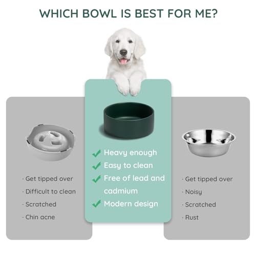SPUNKYJUNKY 13.5OZ Ceramic Dog and Cat Bowl, Modern Cute Weighted Food Water Bowl for Replacement Green (2 Pack) - color: Green, size: 1.7 CUPS × 2