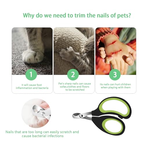 Cats & Dogs Pets Nail Clippers & Trimmers Rabbit Nail Clippers cat Nail Clippers for Indoor Cats cat Claw Clippers with Safety Guard Professional Grooming Tool for Cat Kitten(Green) - color: Green