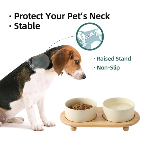 Havniva Raised Cat Bowl, 6.1” Elevated Ceramic Cat Food and Water Bowl Set | Cat Bowls Elevated, Whisker Friendly Cat Bowl, Non-Slip Wood Stand, Food-Grade Ceramic, Wide Opening, Dishwasher Safe - color: Light Yellow, size: 6.1inch - 2 Bowls+Stand