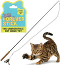 Forever Stick 1-Pack - The Unbreakable Cat Wand Toy, Durable Cat Toy Wand, Extra Long Cat String Toy, Cat Fishing Pole Toy for Bored Indoor Adult Cats, Cat Stick Toy, Cat Feather Wand, Cat Teaser Wand - size: Forever Stick 1-Pack