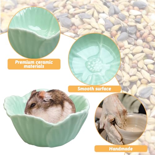 Tfwadmx 2 Pcs Ceramic Pet Hamster Bowl, Dwarf Hamster Food Bowl Feeder, Small Animal Food Dish for Guinea Pigs, Hedgehogs, Mice, Pygmy Hamsters, Robertsky'S Cheeky Mice (Cyan) - color: Cyan