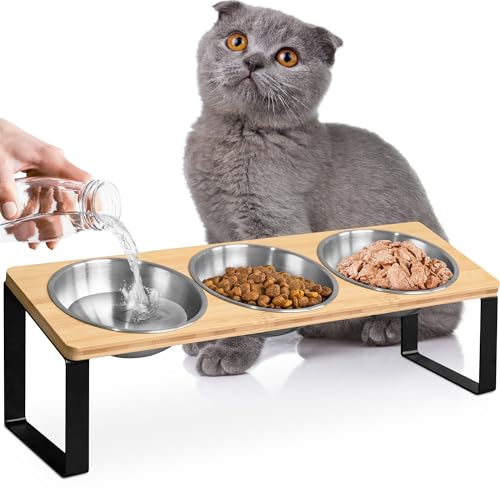 Raised cat Bowls for Indoor Cats by WinTruffles, Elevated cat Bowls, Tilted and Elevated Anti Vomiting Cat Dishes for Food and Water, Set of 3 Stainless Steel Bowl - color: 3 bowls