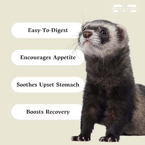 Marshall Uncle Jim’s DUK Soup Mix for Ferrets – 4.5 oz Each – Digestive Support, Recovery & Vitality Aid – Includes 2 Squeaky Toys for Enrichment & Fun – (Pack of 4)
