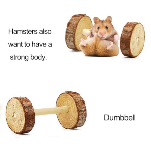 Leeko Pet Hammock Hamster Hanging Toy, 5 Piece Set House Hanging Bed Cage Toys for Small Animal Sugar Glider Squirrel Chinchilla Hamster Rat Playing Sleeping - size: 5 Pieces