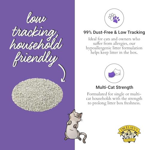 Dr. Elsey's Clean Tracks Clumping Clay Cat Litter, 20 lbs. - size: 20 pounds