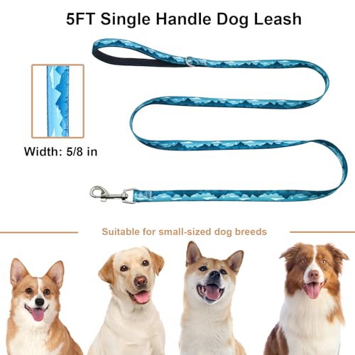 5ft Nylon Dog Leash with Soft Neoprene Handle for Small Dogs, Blue Sunset - color: Blue Sunset, size: 5/8in x 5ft - Single Handle