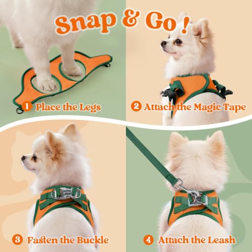 rabbitgoo Dog Harness Small Sized and Leash Set, Step in Soft Vest | Breathable Mesh, Easy Wear with Hook & Loop, Light and Reflective for Walking, Multi-colored, Orange & Dark Green, XXS - color: Orange & Dark Green, size: XXS (Chest: 12.4"-14.2")