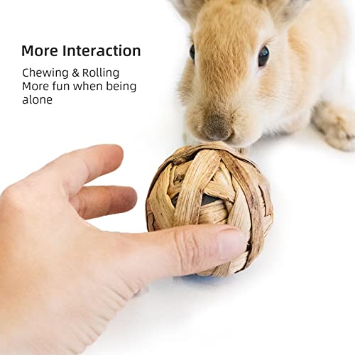 andwe Small Animals Play & Activity Balls Rolling Chew Toys for Rabbits Guinea Pigs Chinchilla - size: Pack of 8