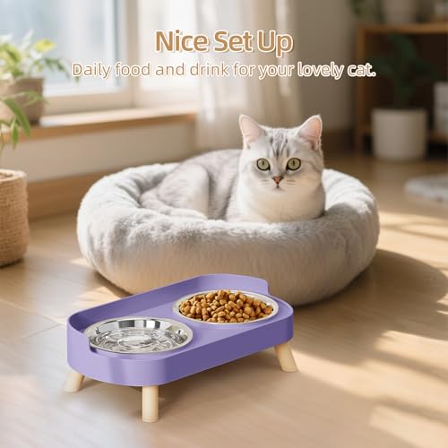 Elevated Cat Bowl, Raised Cat Food and Water Bowl Set for Indoor Cats, Splash Proof with 2 Stainless Steel Pet Food Bowls for Cats and Puppies, Whisker Fatigue and Dishwasher Safe - Purple - color: Cat Bowls-Purple
