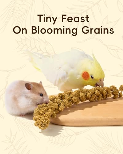 BUCATSTATE 60PCS Natural Hamster Bedding | Flowers & Herbs & Sprays for Cage Habitat Decor - Treat Cereal Grain for Dwarf Syrian Gerbils, Mice, Rat, Forage, Enrichment. - size: 60pcs