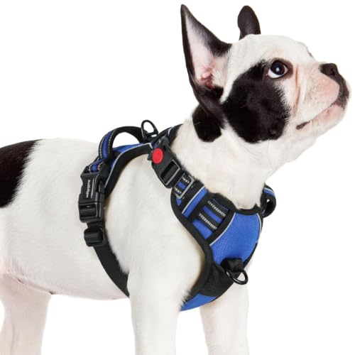 rabbitgoo Dog Harness Small Sized, Updated Easy On & Off with 3 Buckles | No Pull No Choke, Walking with 2 Clips and Handle, Adjustable Soft Reflective, Blue, Small - color: Blue, size: Small