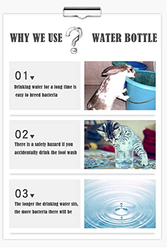 PStarD Moon Small Animals Water Bottle - Bunny, Hamster, Guinea Pig, Rabbit, Chinchilla, Gerbil, Groundhog, Squirrel (2.7 oz) - size: 2.7 oz water bottle