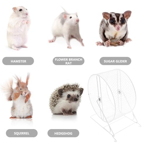 ibasenice Silent Hamster Wheel 9.25In Metal Wire Exercise Wheel Quiet Runner with Ball Bearings Textured Surface for Nail Care for Hamsters Gerbils Mice and Small Pets