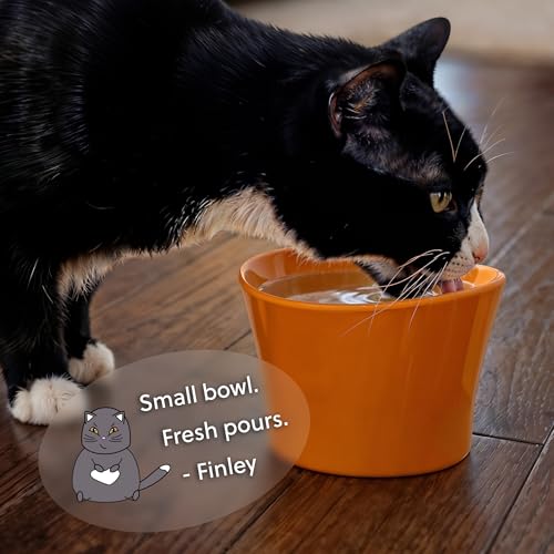 Elevated Cat Bowls for Water – Whisker & Neck Fatigue Shallow Cat Dishes – Raised Bowl for Indoor Cats – Vet-Recommended Height, Food-Grade Melamine – Non-Slip & Dishwasher-Safe – 8 oz White - color: White