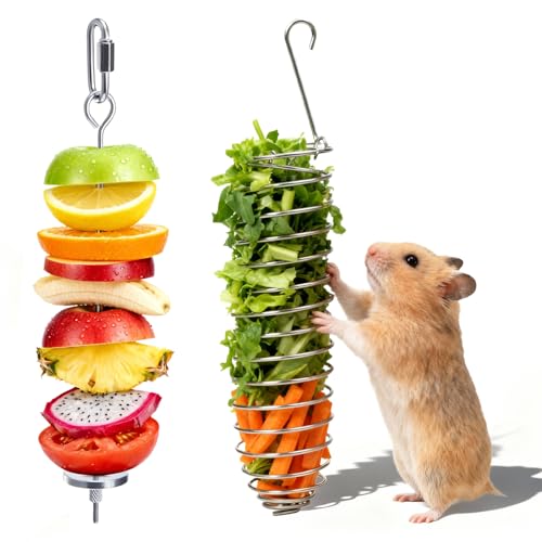 2Pcs Rat Enrichment Toys, 304 Stainless Steel Foraging Toy, Fruit & Vegetable Holder for Mice, Hanging Rodent Cage Accessories, Slow Feeder Puzzle Toy & Parakeet Foraging Tool