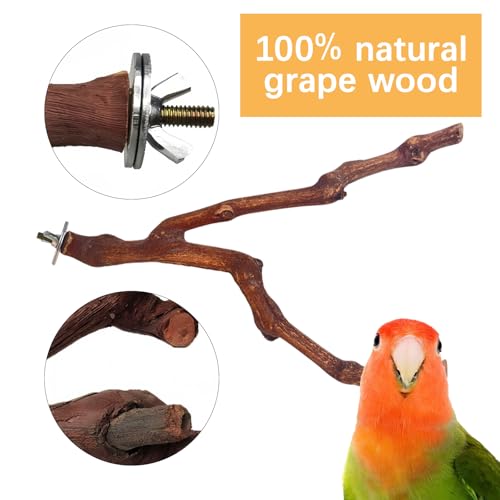 5PCS Bird Perch Stand, Bird Perch Stand Natural Wood Standing | Birds Cage Accessories,Natural Wood Pole Standing Paw Grinding Fork, Suitable for Most Birds, Such as Lovebirds, Parrots - color: Wood