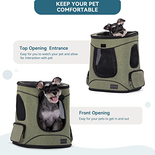 Petsfit Dog and Cat Backpack Carrier, Padded Waist Support, Up to 18 lb | 13.5 x 12.5 x 17.5 in; reinforced frame, 600D Oxford, 4 mesh panels, lockable zippers, safety tether and washable mat. - color: AGreen