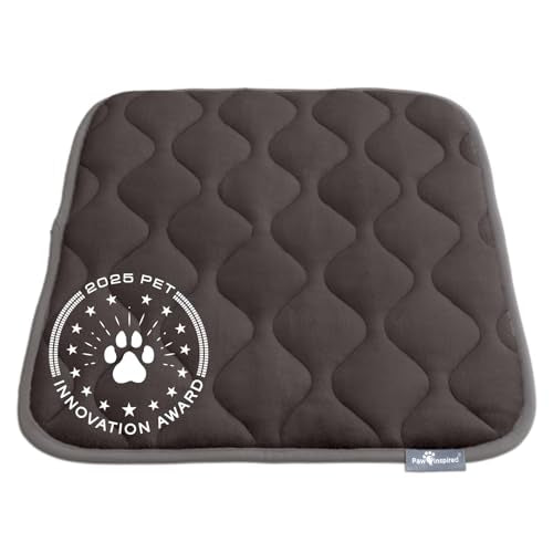 Paw Inspired Washable Padded Crate Mats for Dogs, Gray, 23x17 Inch | Fits 24-inch Kennels, Leakproof, Waterproof Bottom, Plush Dog Pad, Pet Bed - color: Gray, size: 24 Inch