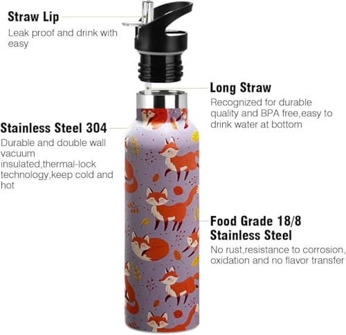 Kids Water Bottle with Straw,Fox Bottle Vacuum Insulated Stainless Steel Travel Mugs Tumbler For Sport School Outdoor 20 oz - color: Brown Fox