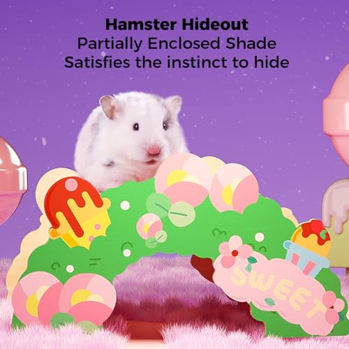 mini&moe Hamster Bridge - Wooden Hamster Climbing Toys Cage Accessories and Decor Small Animal Ladder for Rats, Mice, Gerbils