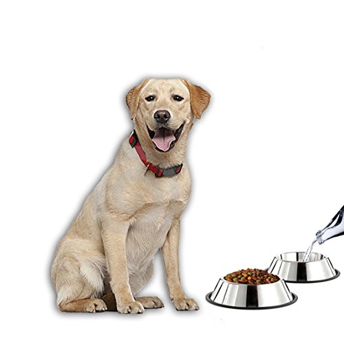 Mlife Stainless Steel Dog Bowl with Rubber Base for Small/Medium/Large Dogs, Pets Feeder Bowl and Water Bowl Perfect Choice (Set of 2) - size: 16oz