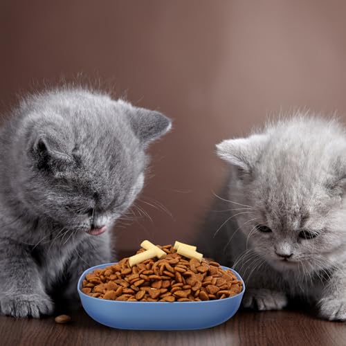 Tioncy 24 Pcs Fatigue Relief Cat Bowl 5.7 Inch Shallow Cat Food Dish Wide and Small Pet Wet Feeding Bowl for Kitten Short Legged Kitten Ferrets Feral Small Animals (Blue, Green, Pink, Beige,Cute) - color: Blue, Green, Pink, Beige, style: Cute